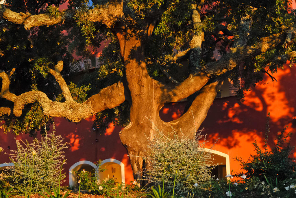 سكارلينو Giardino Dei Sugheri المظهر الخارجي الصورة